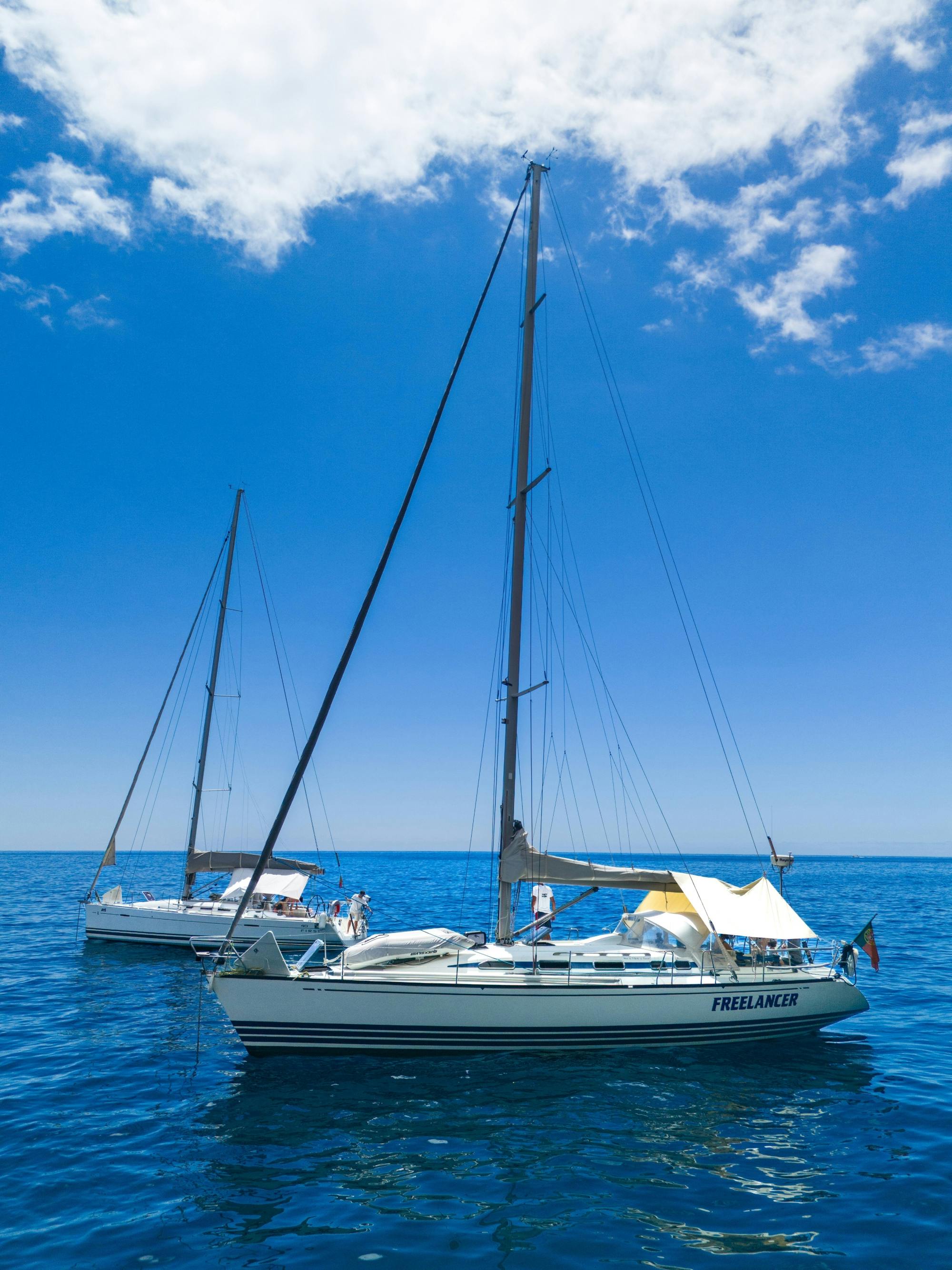 Madeira half-day Happy Hour sailing trip with open bar
