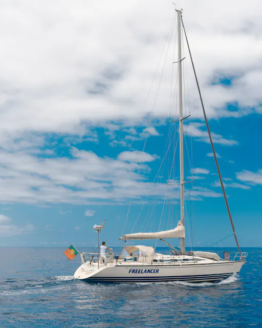 Madeira half-day Happy Hour sailing trip with open bar