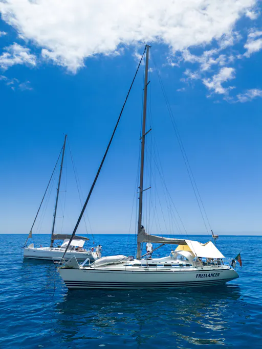 Madeira half-day Happy Hour sailing trip with open bar