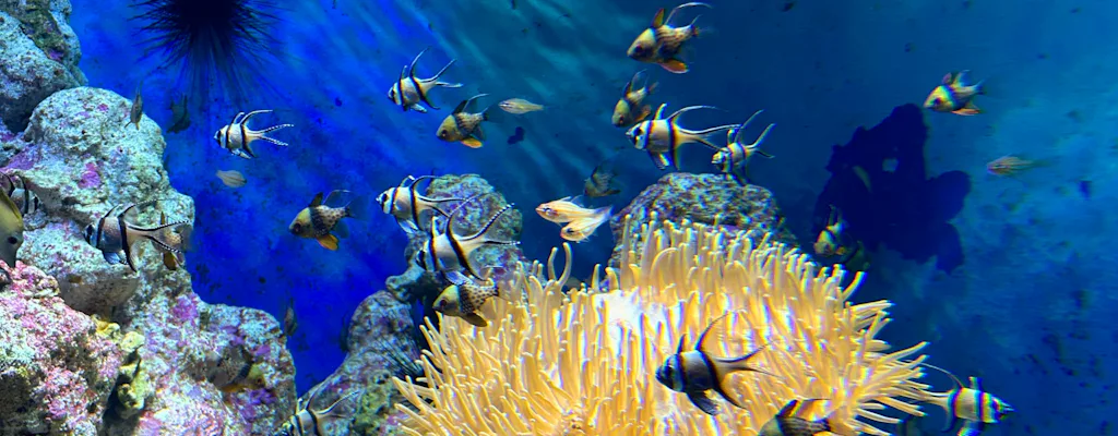 SeaWorld Abu Dhabi