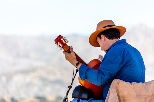Excursión de un día a la Fiesta de Ronda en Andalucía