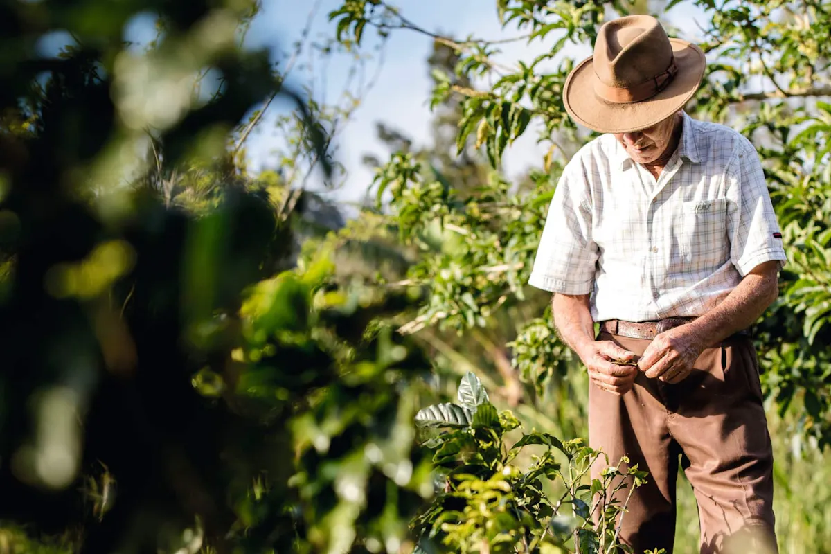 Cretan semi-submarine and guided tour from south Crete