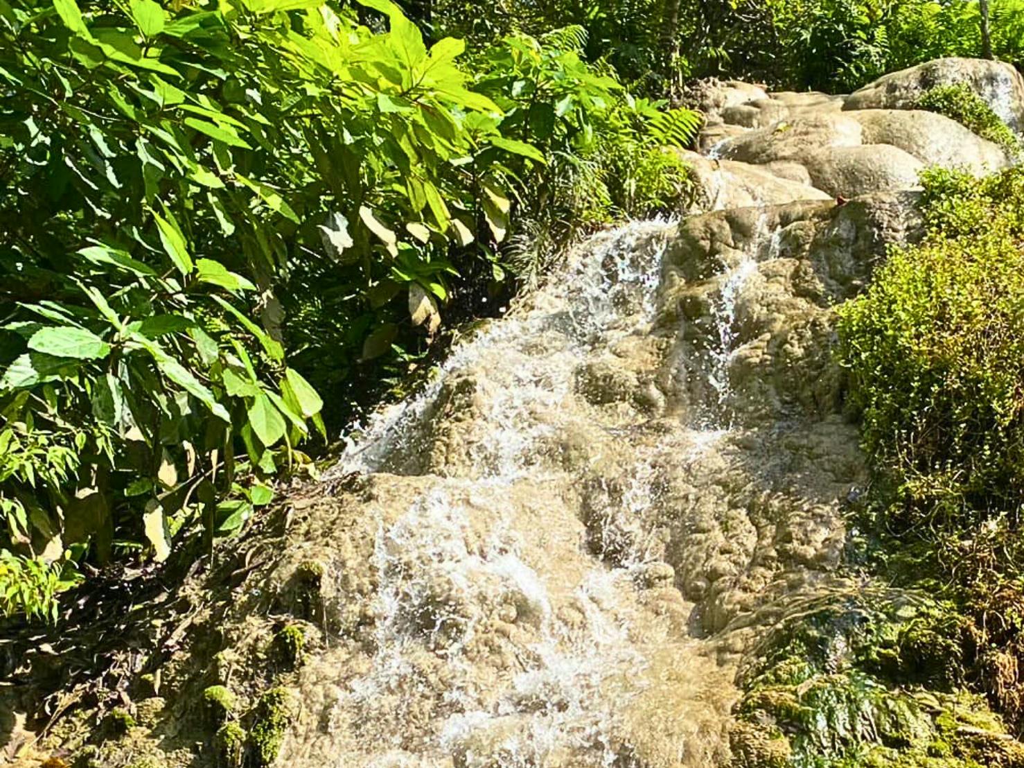 Half-day private van charter with driver to Bua Thong Waterfall