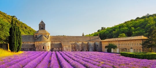 Provence lavender fields and Verdon Gorge guided tour from Nice