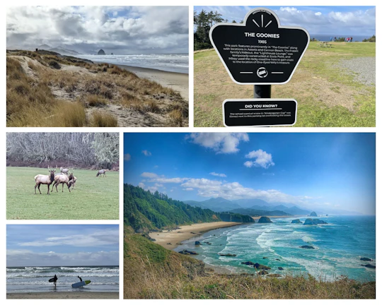Oregon Coastal tour