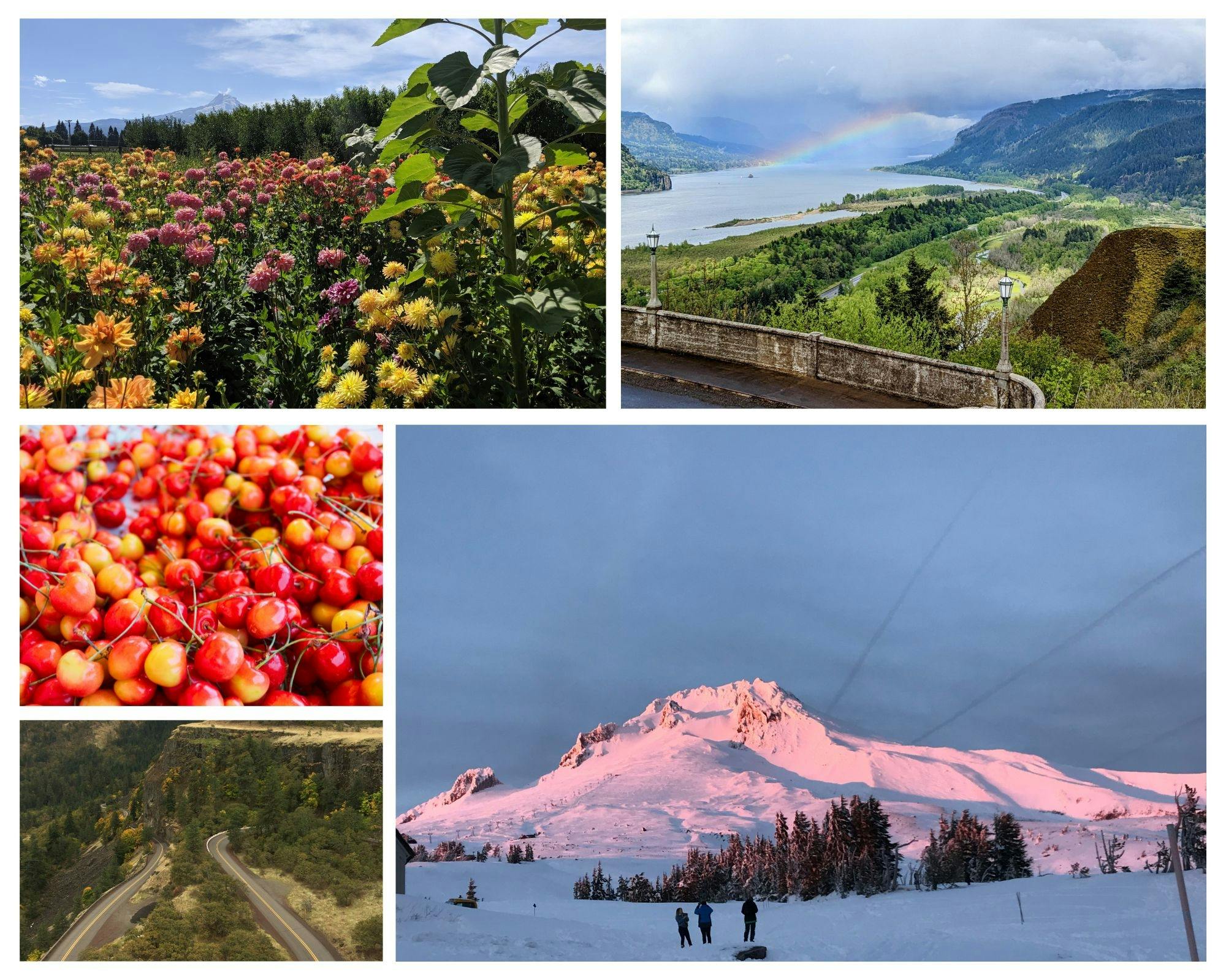 Mt. Hood Loop and Multnomah Falls tour