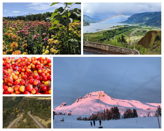 Mt. Hood Loop and Multnomah Falls tour
