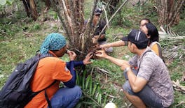 Intera giornata di tour Salak Agro 4x4 con visita al tempio e lezione di cucina