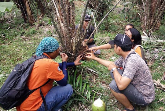 Full-day Salak Agro 4x4 tour with temple visit and cooking class