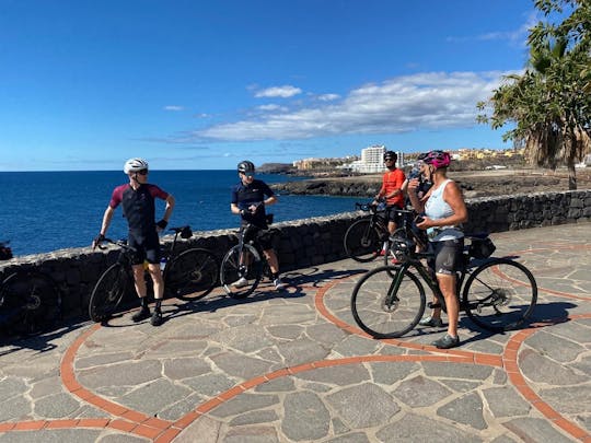 Guided e-bike tour to El Medano