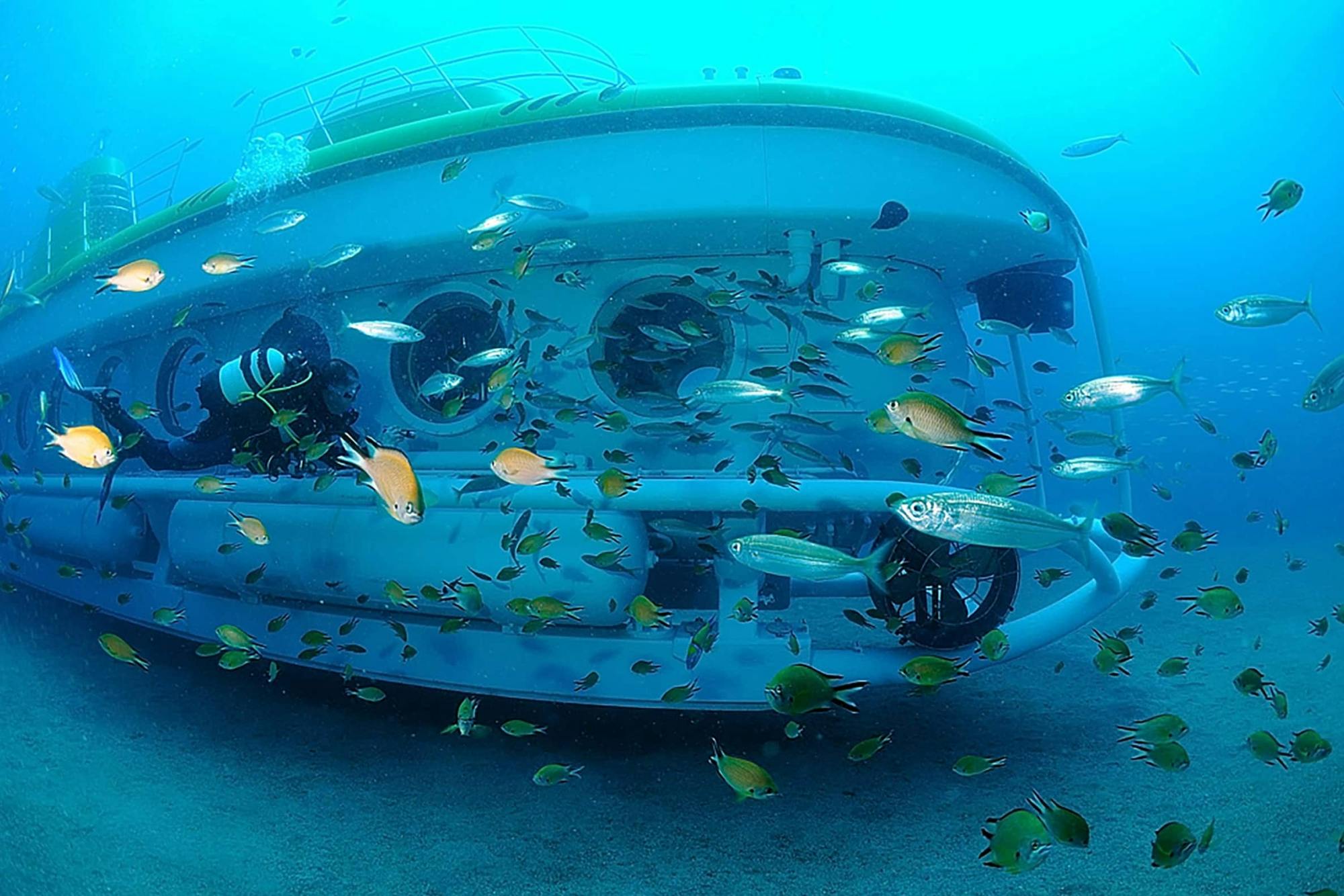 Submarine Safari
