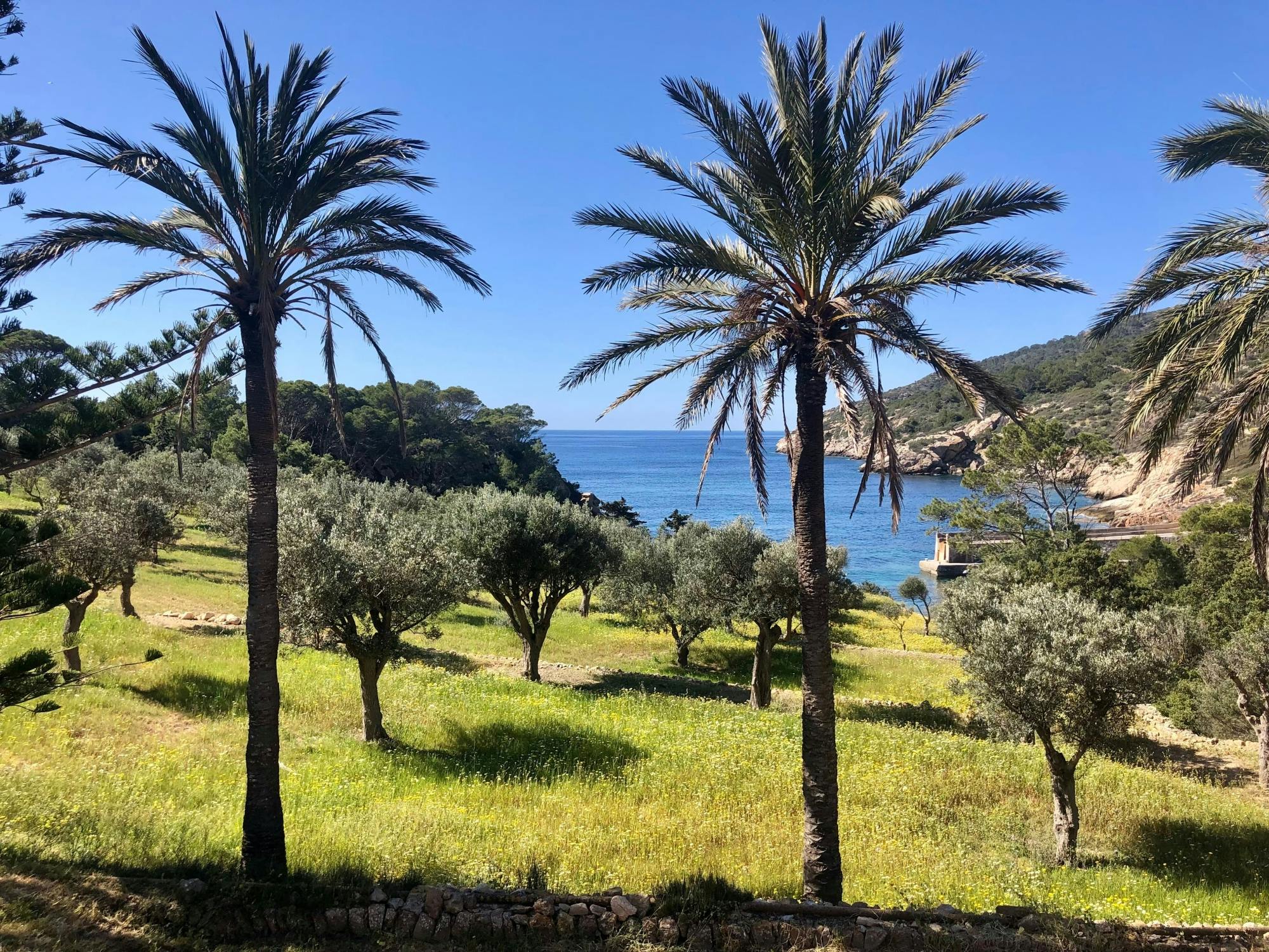 Dragonera Island kayak tour in Majorca with Keida