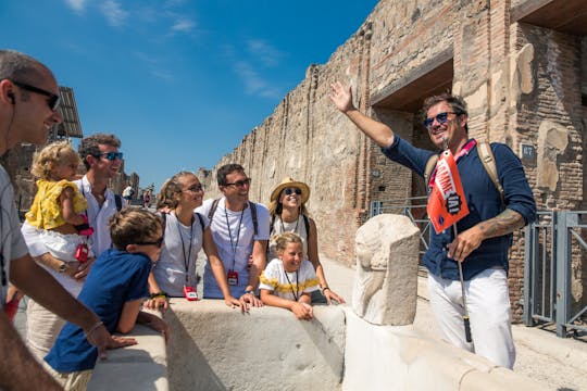 Ruins of Pompeii guided walking tour with skip the line ticket