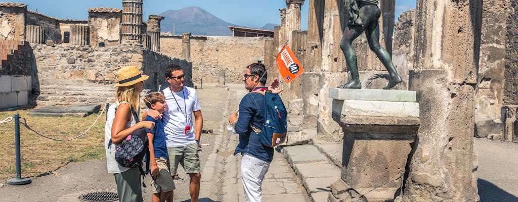 Skip the line Pompeii guided tour from Naples