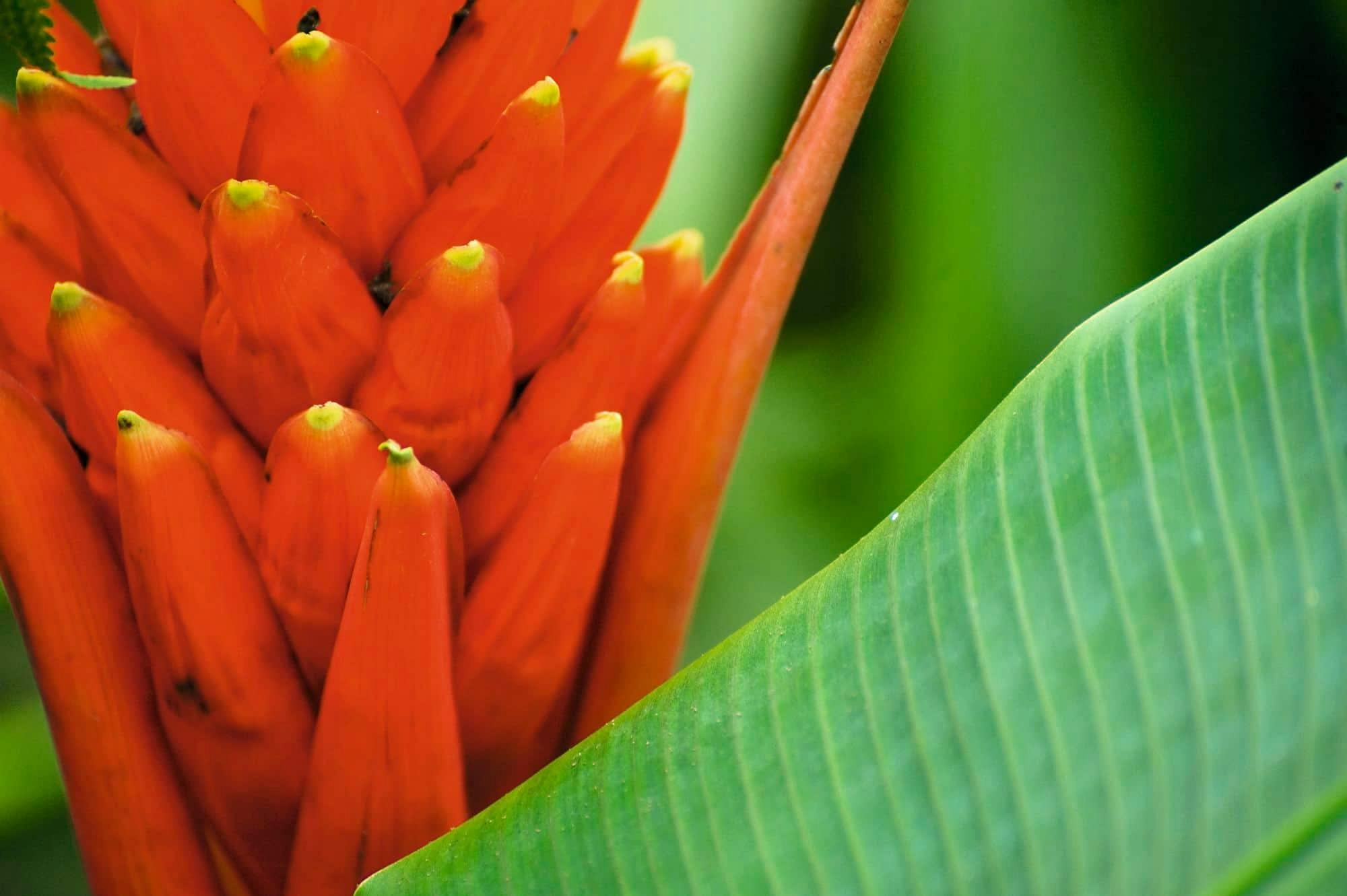 One-hour Diamonte Eco Park quad bike tour