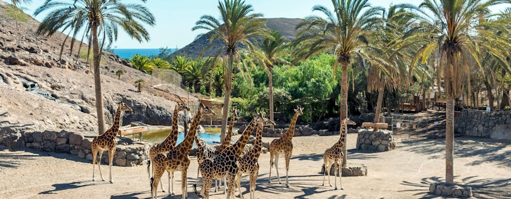 Oasis Wildlife Fuerteventura Ticket