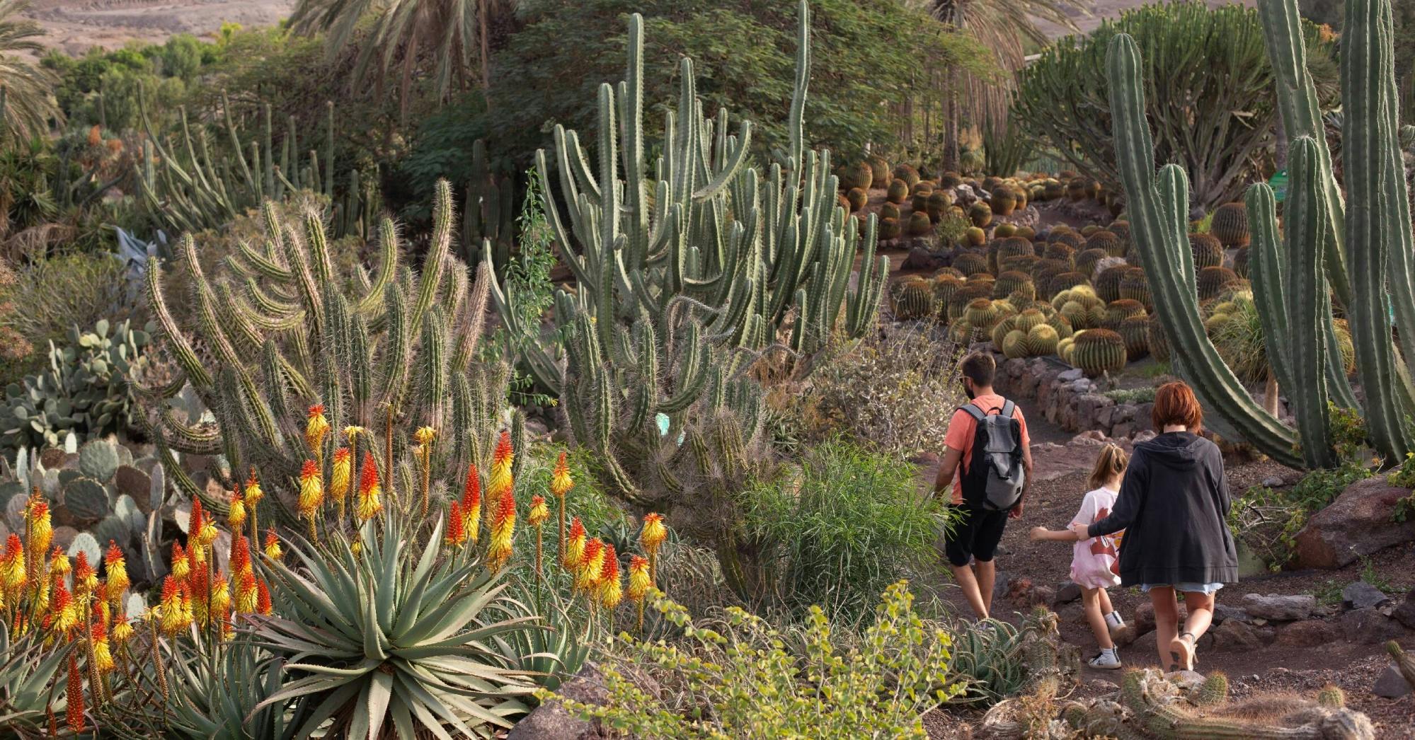 Oasis Wildlife Fuerteventura Ticket