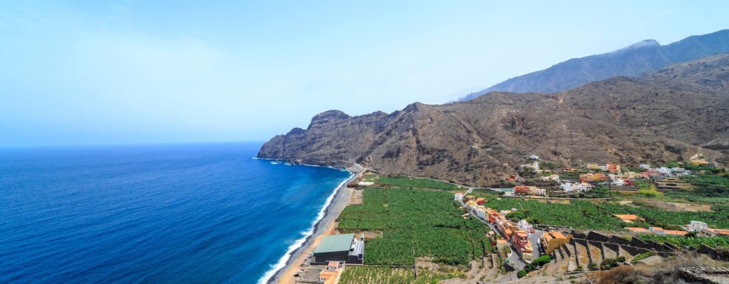 VIP La Gomera Minivan Tour from the North