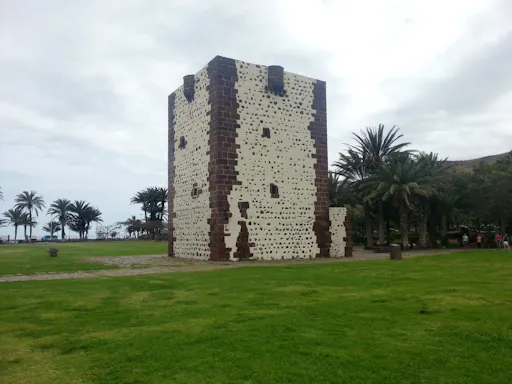 VIP La Gomera Minivan Tour from the North