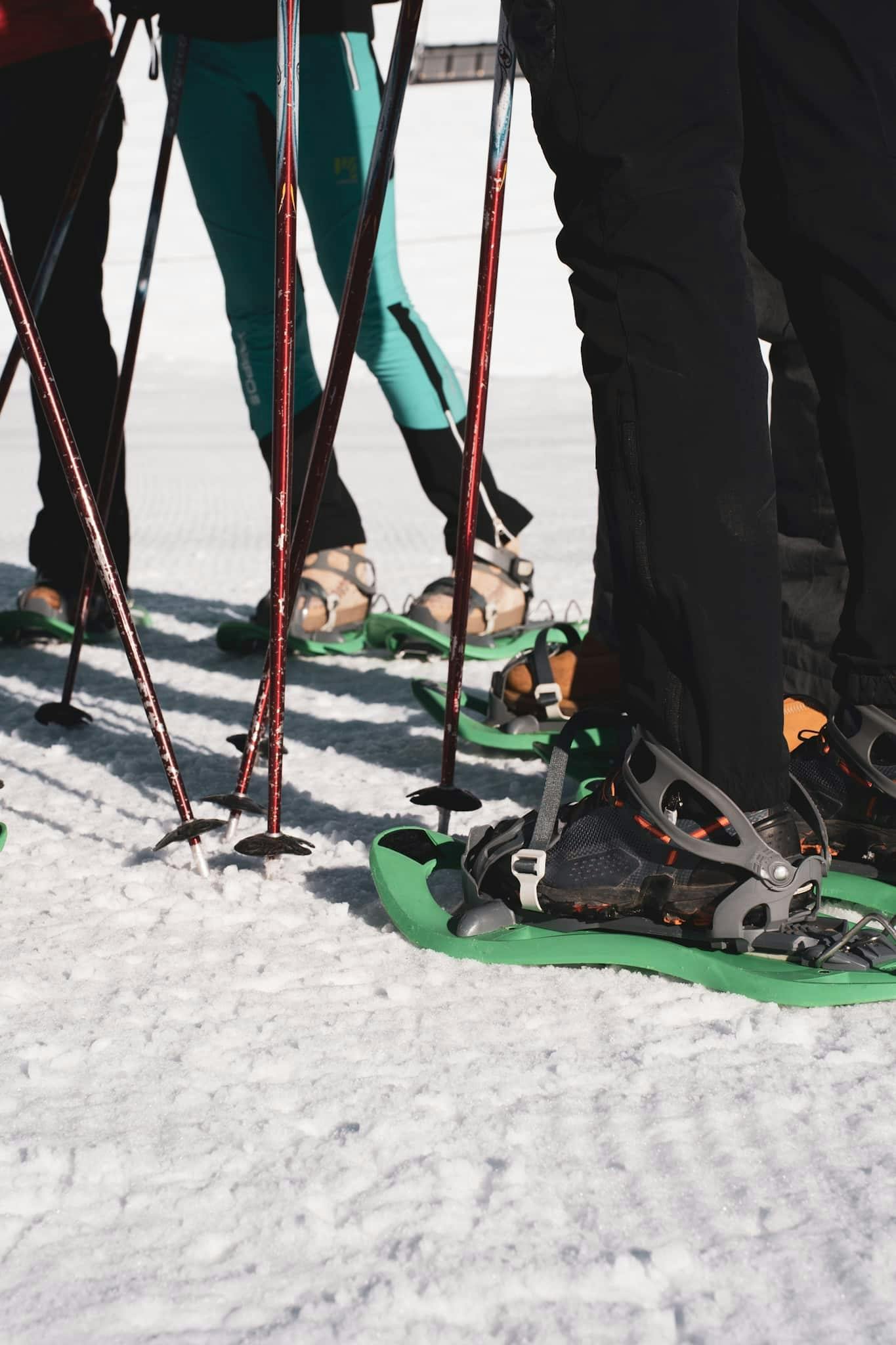 Guided snowshoeing trek in the Ordino-Arcalis area