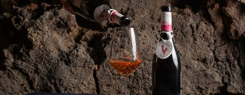 Adults wine-tasting tour of Conatvs Winery in Fuerteventura