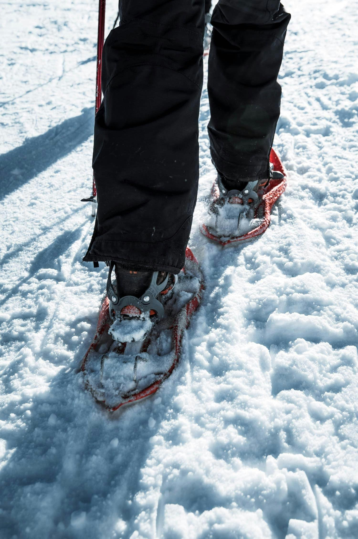 Guided snowshoeing trek in the Ordino-Arcalis area