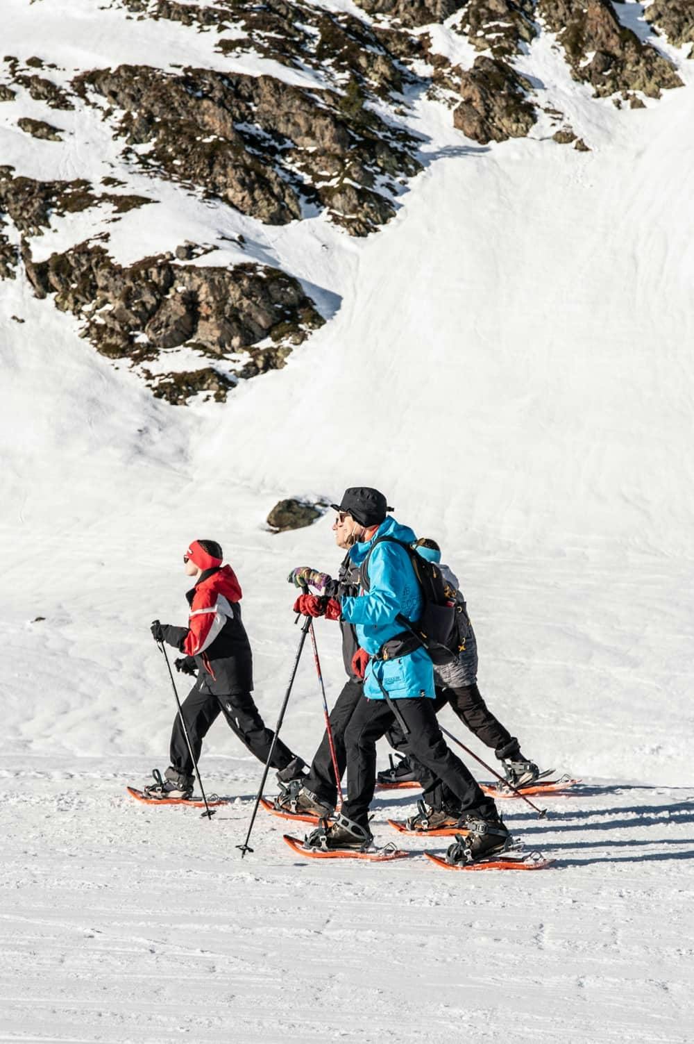 Guided snowshoeing trek in the Ordino-Arcalis area