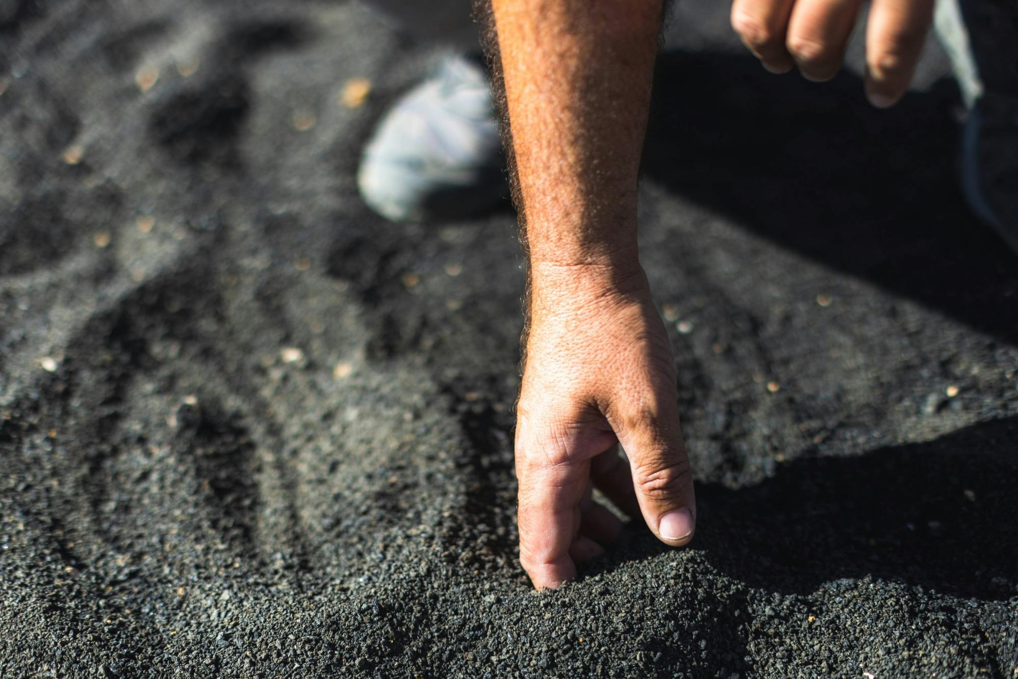 Half-day guided volcano and wine tour in southern Lanzarote