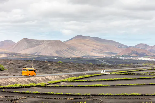 Half-day guided volcano and wine tour in southern Lanzarote