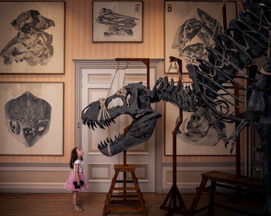 Entrance ticket to the Art Zoo Museum in Amsterdam with audio tour