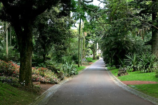 São Miguel Island Carvão Cave and gardens guided tour