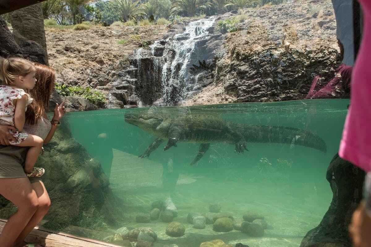 Oasis Wildlife Fuerteventura Ticket