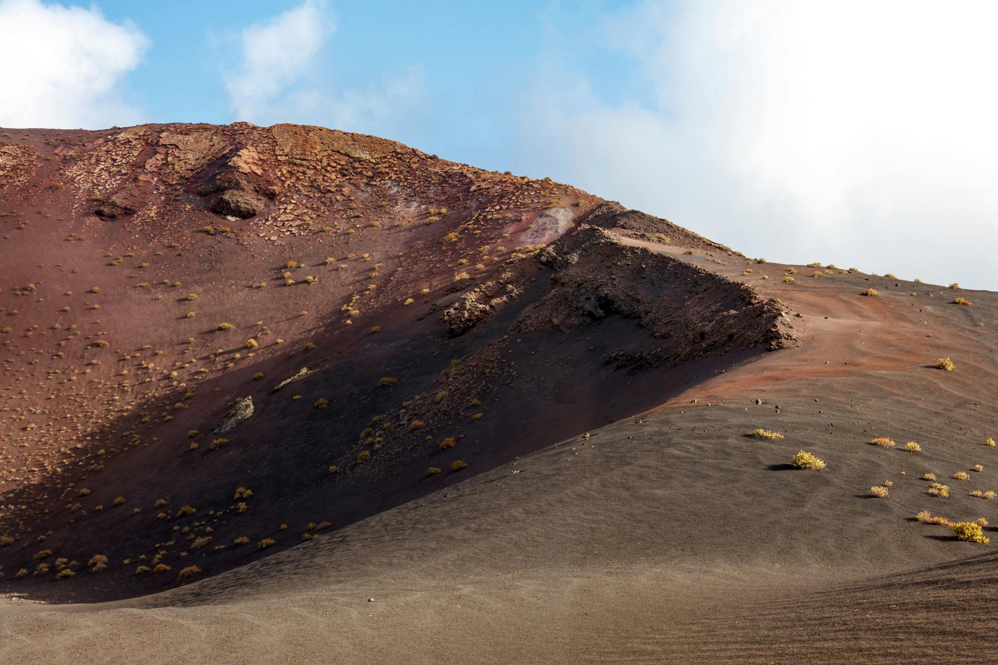Half-day guided volcano and wine tour in southern Lanzarote