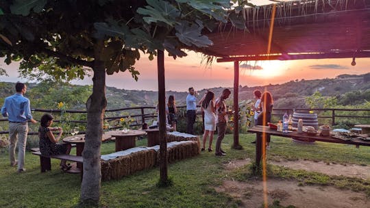 Après-midi dans les vignobles de Calabre avec dégustation de vins