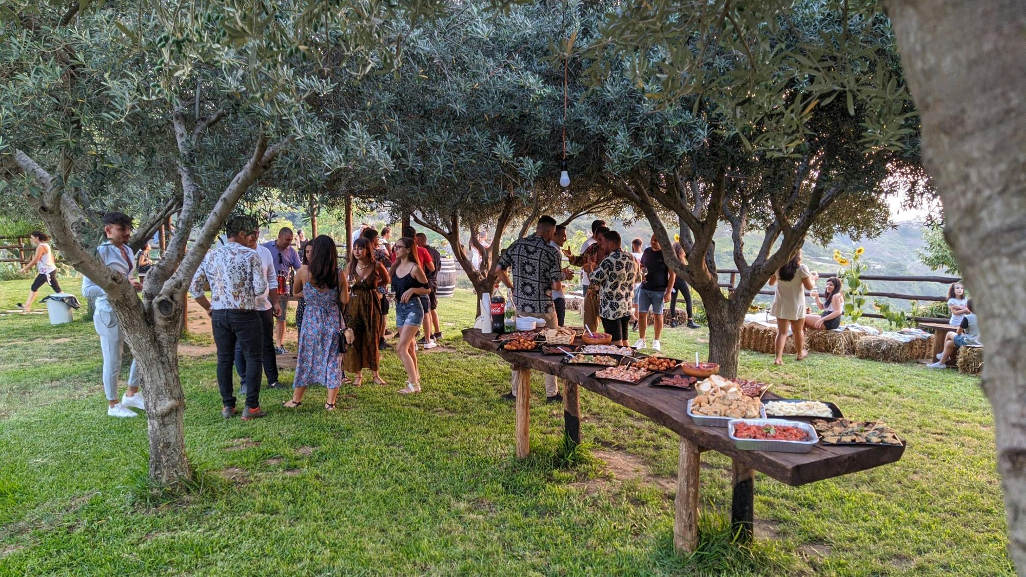 Afternoon vineyard tour and wine tasting in Calabria