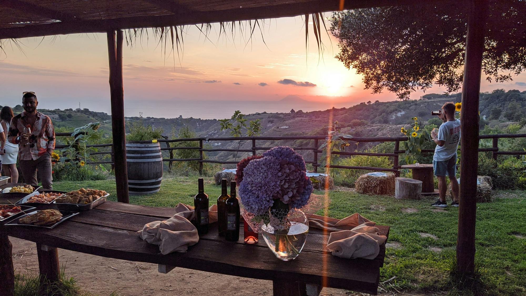 Afternoon vineyard tour and wine tasting in Calabria