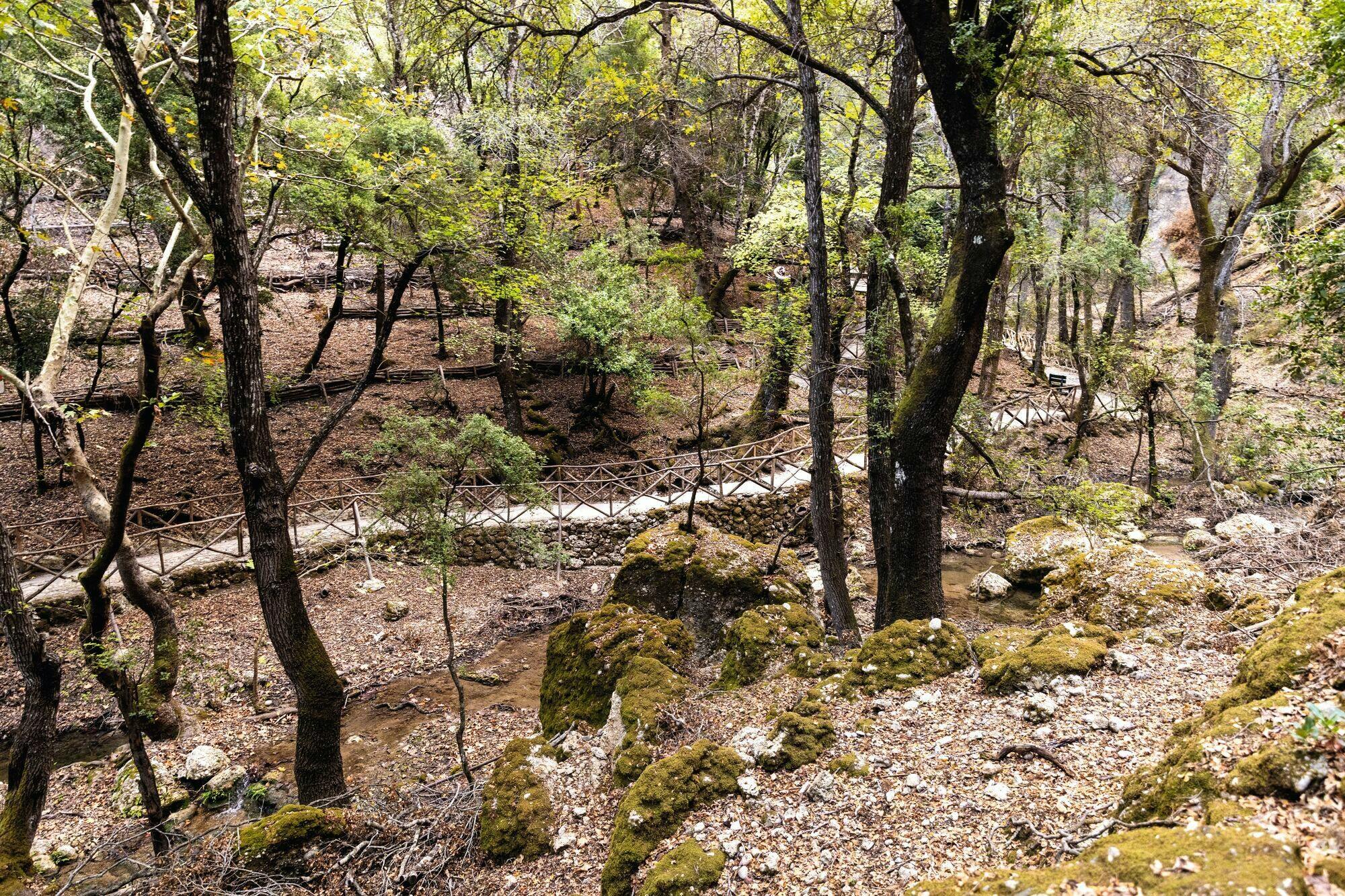 Highlights of Rhodes guided island tour