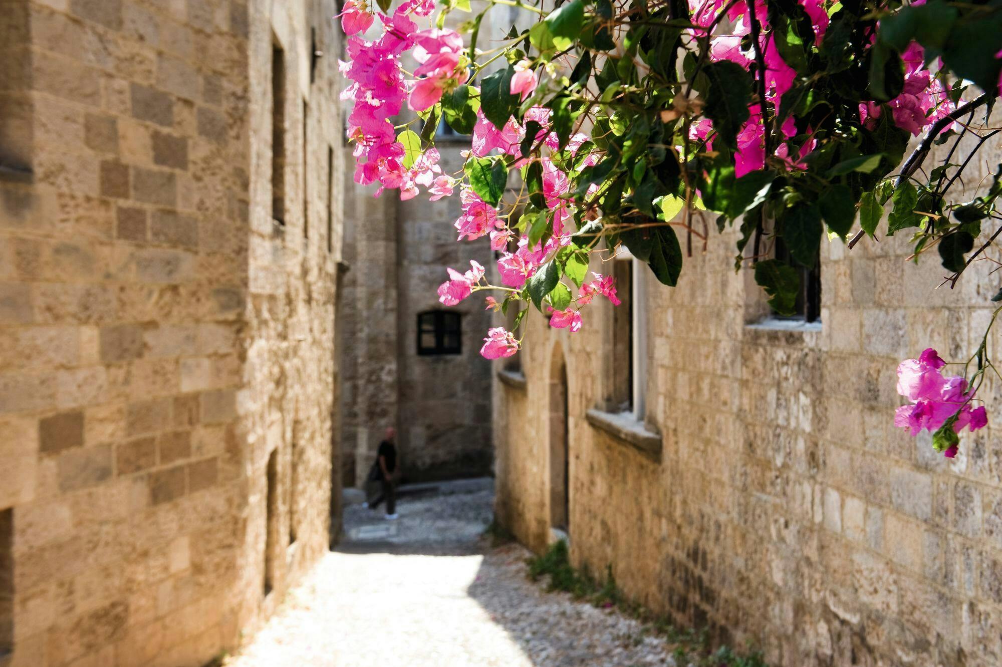 Lindos Acropolis & Rhodes Old Town Highlights Tour