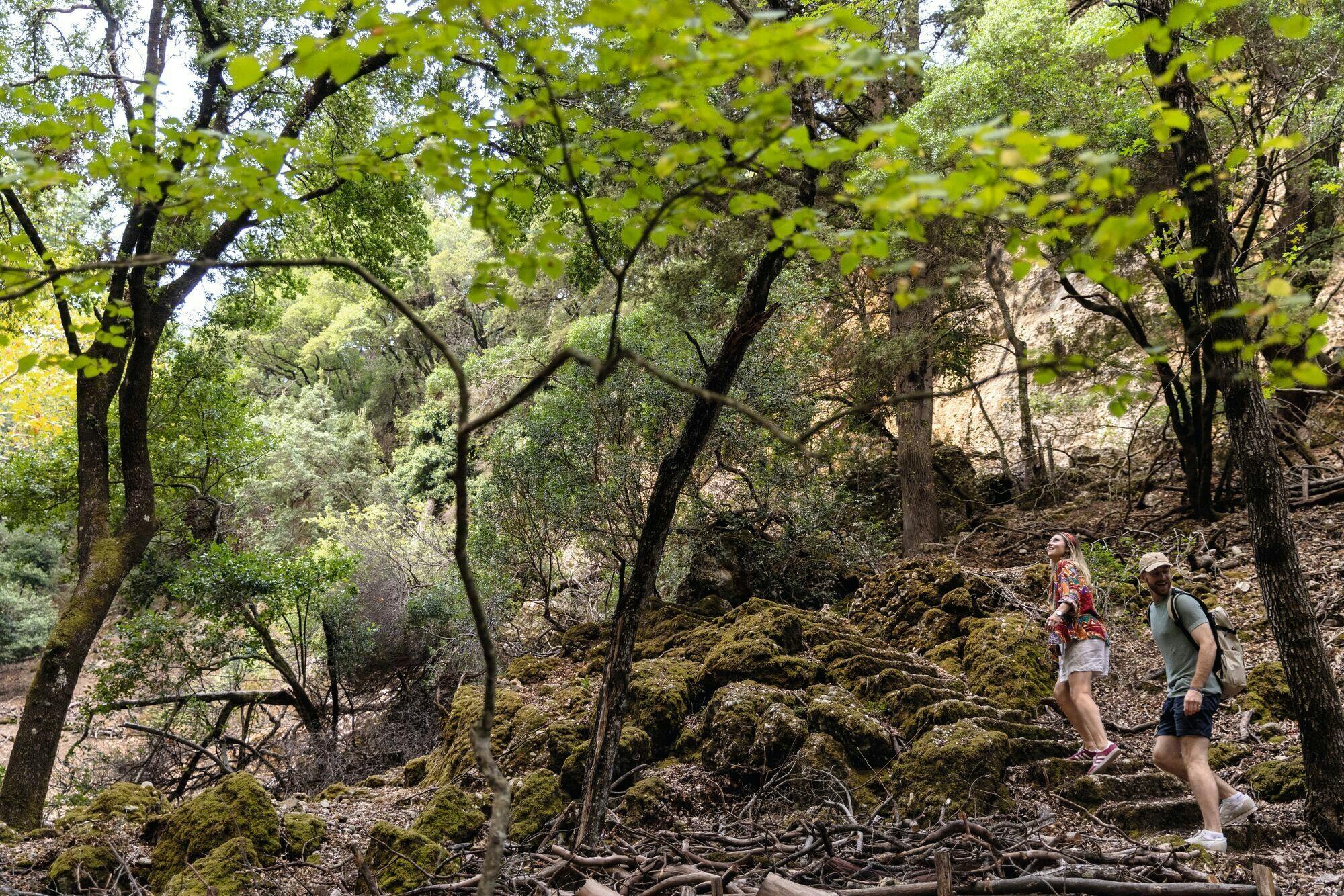 Full-day Chalki Island boat trip and Butterfly Valley visit