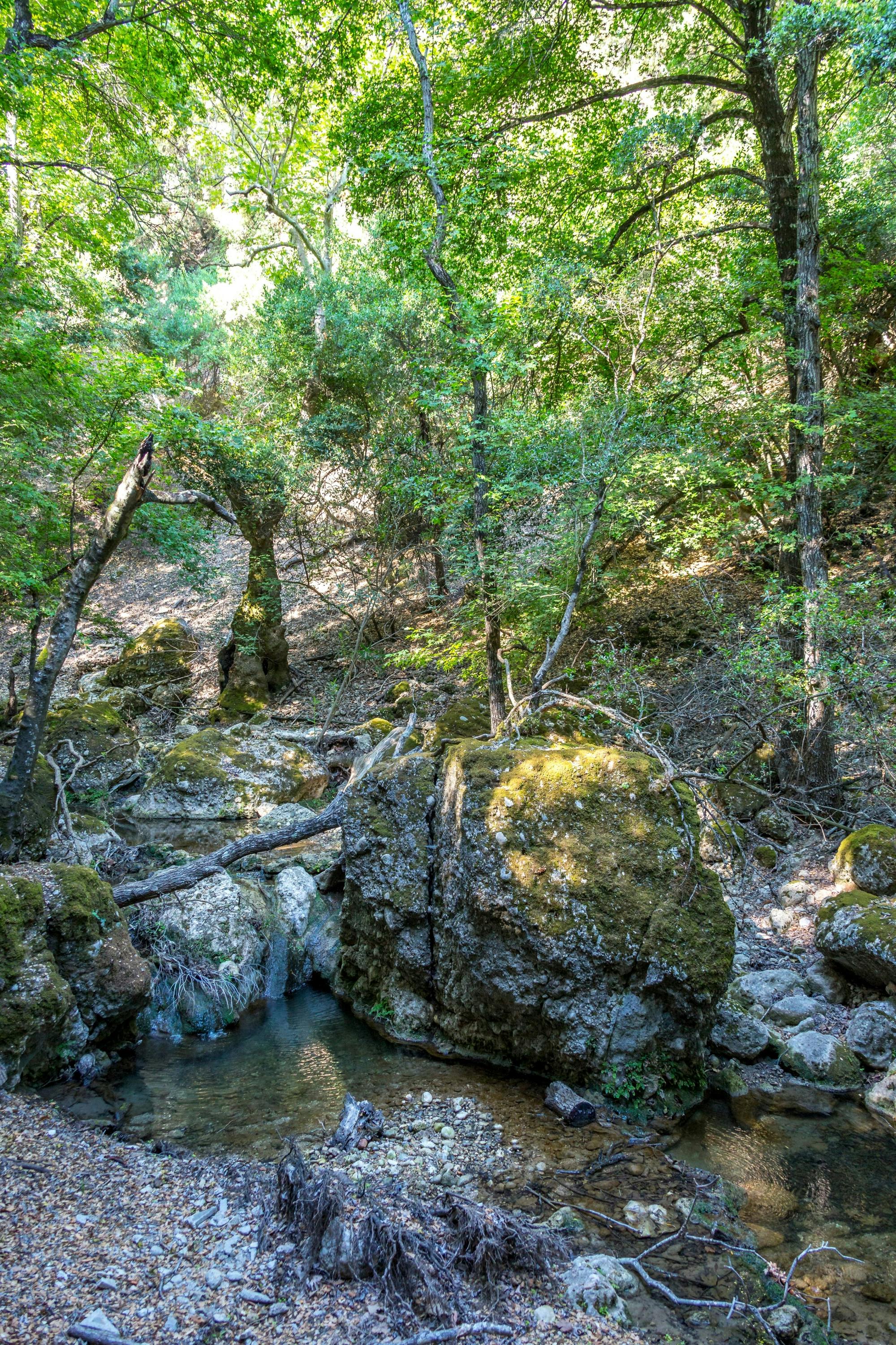 Full-day Chalki Island boat trip and Butterfly Valley visit