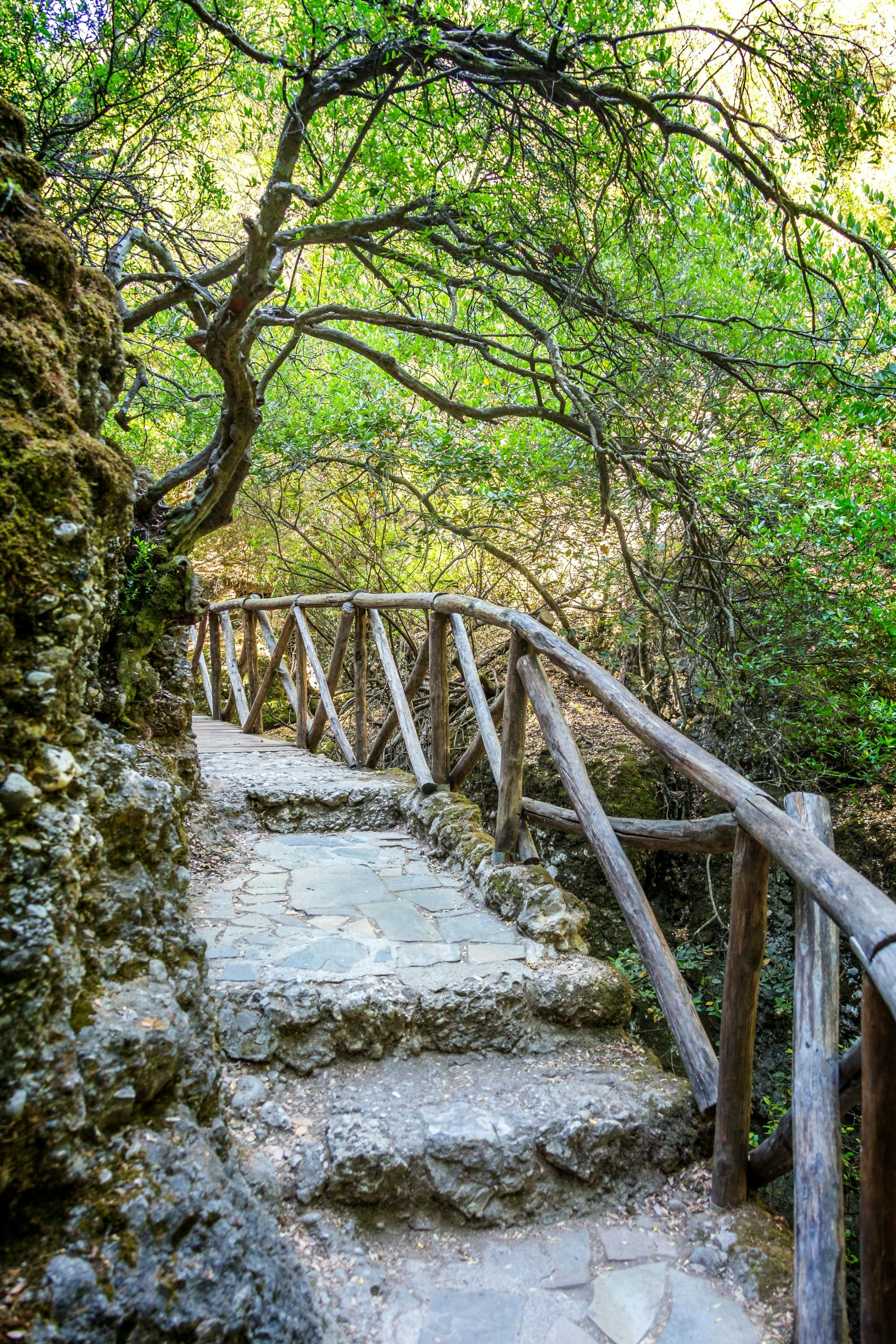 Full-day Chalki Island boat trip and Butterfly Valley visit