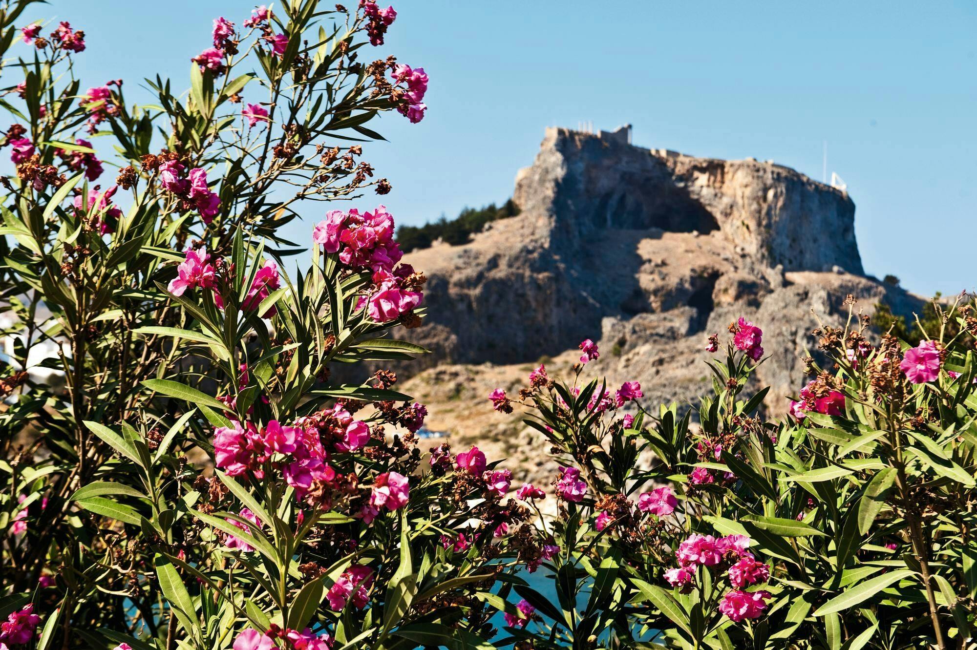 Guided tour of  Lindos with Acropolis visit