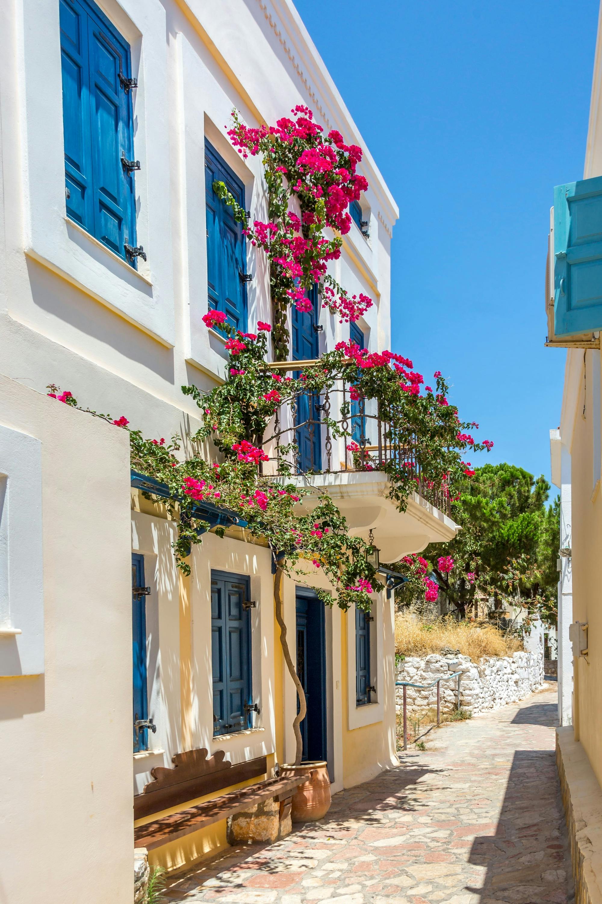 Full-day Chalki Island boat trip and Butterfly Valley visit