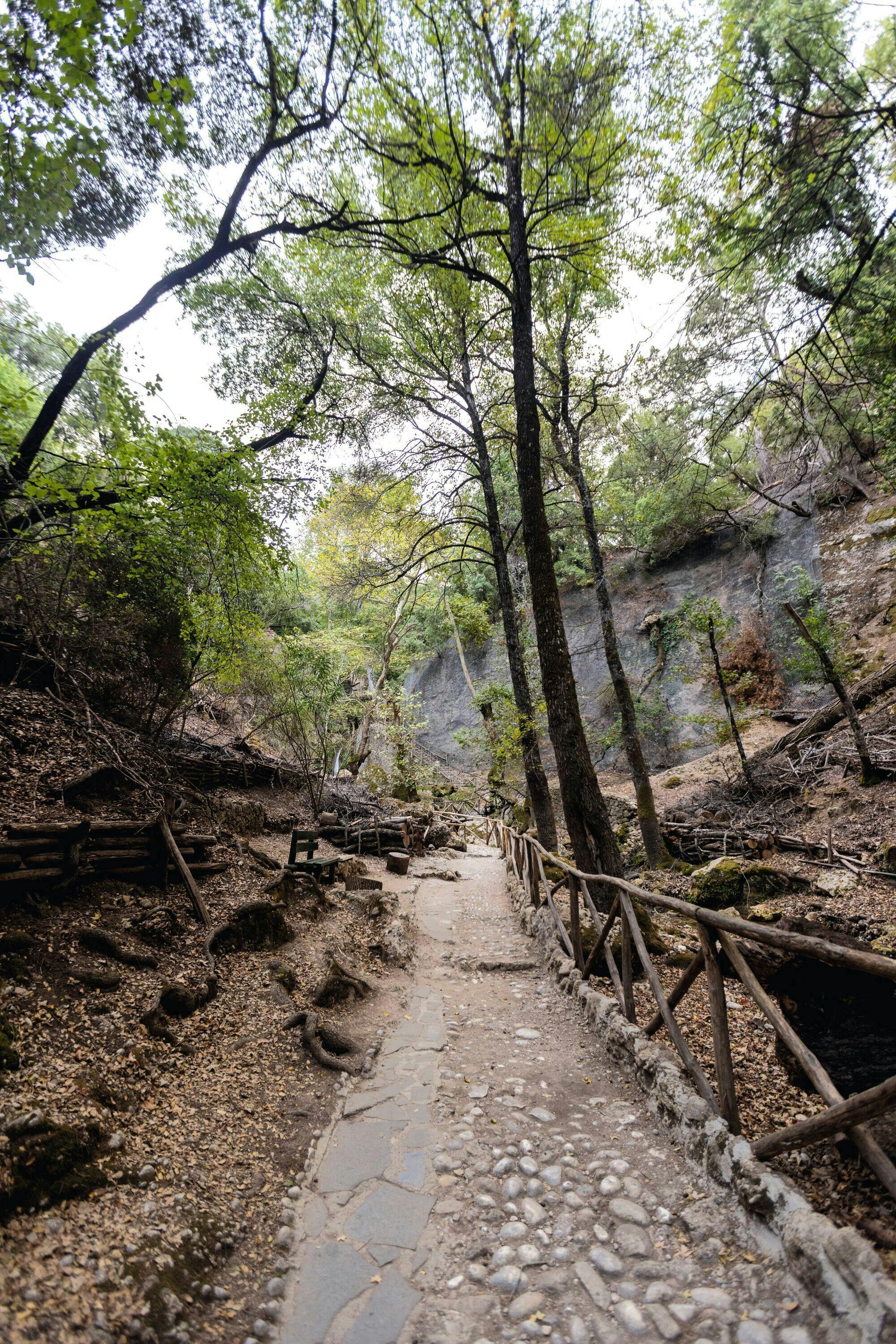 Full-day Chalki Island boat trip and Butterfly Valley visit
