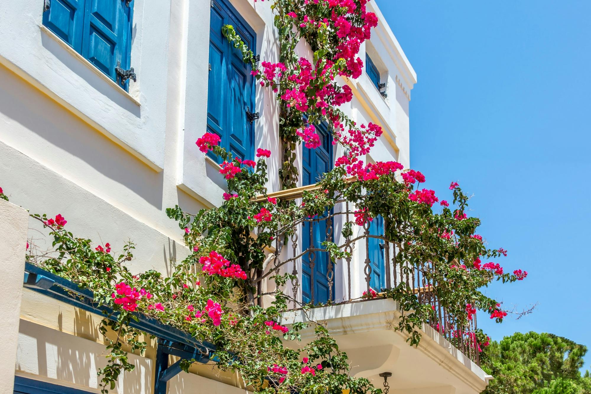 Full-day Chalki Island boat trip and Butterfly Valley visit