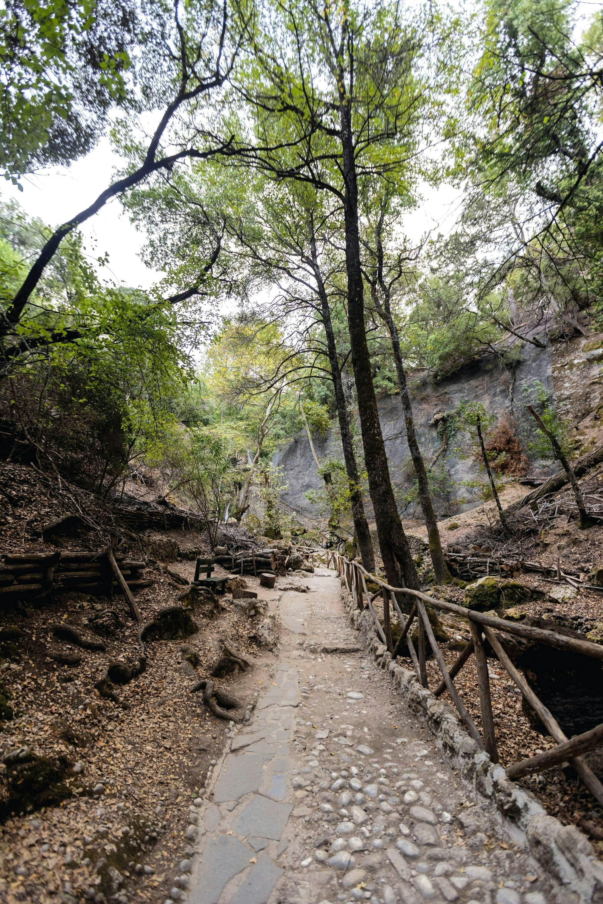 Full-day Chalki Island boat trip and Butterfly Valley visit