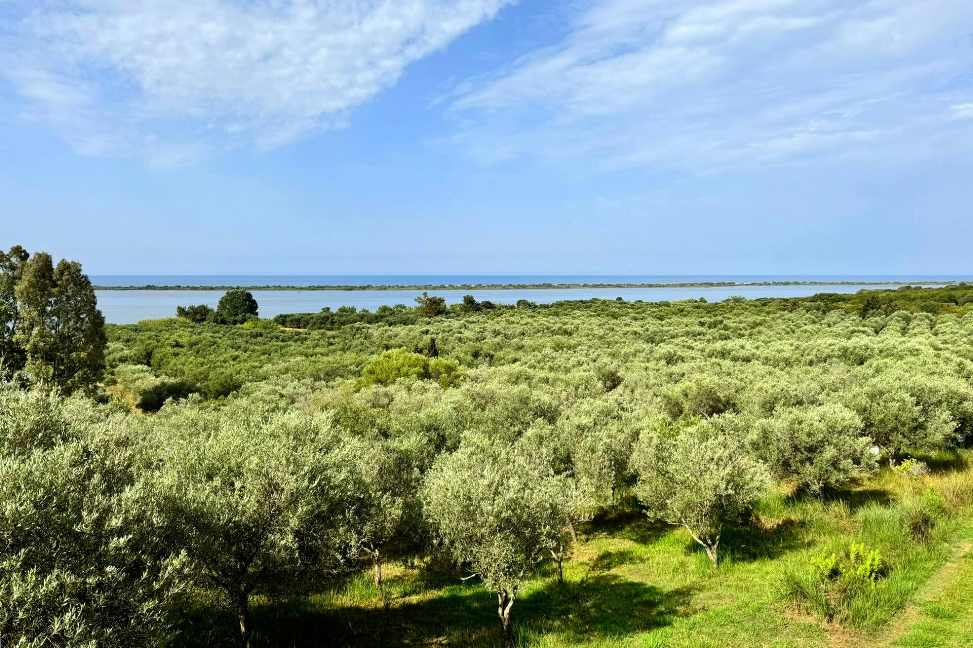Nat Geo Day Tour: Flavours of Corfu, Cook with Locals at an Organic Farm