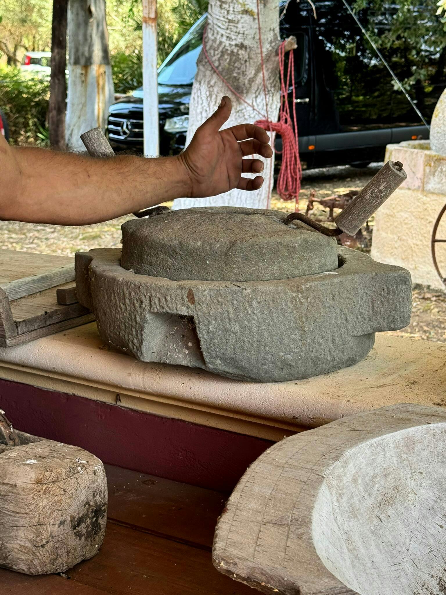 Nat Geo Day Tour: Flavours of Corfu, Cook with Locals at an Organic Farm