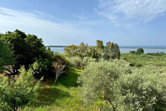 Nat Geo Day Tour: de smaken van Corfu, kook samen met locals op een biologische boerderij
