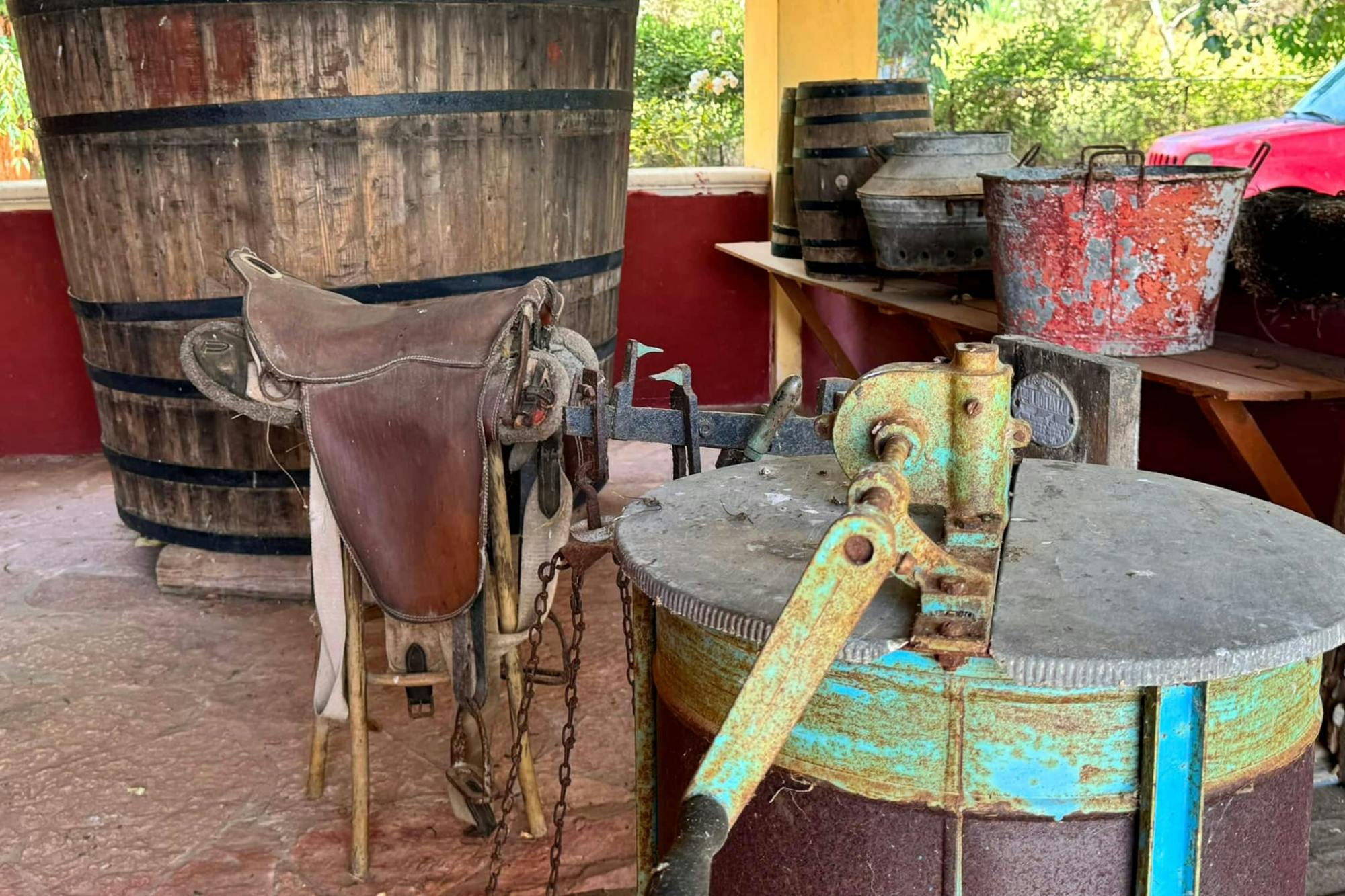 Nat Geo Day Tour: Flavours of Corfu, Cook with Locals at an Organic Farm